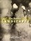 On Kinetic Landscapes
