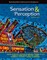 Sensation and Perception