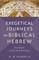 Exegetical Journeys in Biblical Hebrew