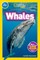National Geographic Readers: Whales (Pre-Reader)