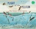 Plight of the Pelican