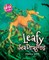 Leafy Sea Dragons