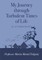 My Journey Through Turbulent Times of Life