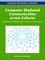 Computer-Mediated Communication across Cultures
