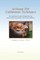 In-Home Pet Euthanasia Techniques