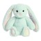 AURORA Rainbow Gingham Bunnies Plīša piparmētru zaļš  trusis, 18 cm