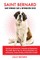 Saint Bernard