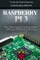 Raspberry Pi 3
