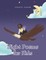 Night Poems for Kids
