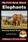 My First Book about Elephants - Amazing Animal Books - Children's Picture Books