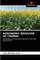 Agronomic Behavior of Crambe
