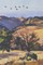 Shakespeare's Wilderness