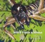 W&#275;t&#257; Finds a Home