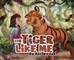 The Tiger Like Me
