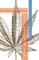 The Cannabis Manual