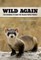 Wild Again