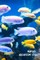 Marine Aquarium Log