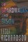 Of Boardwalks and Bison