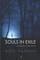 Souls In Exile
