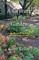 Century in the Garden