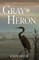 Gray Heron