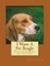 I Want A Pet Beagle