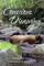 Conscious Dreaming
