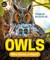 Owls