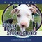 Doodle Bug's Second Chance