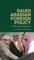 Saudi Arabian Foreign Policy
