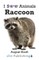 Raccoon