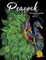 Peacock Coloring Books for Adults