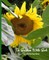 To Garden With God