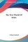 The New World Of Islam