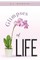 Glimpses of Life