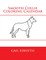 Smooth Collie Coloring Calendar