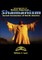 Encyclopedia of Native American Shamanism