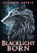 Blacklight Born