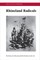 Rhineland Radicals