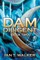 Dam Diligent