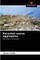 Recycled coarse aggregates