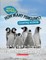 How Many Penguins? (Nature Numbers)