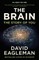 The Brain