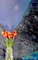 Abstract tullips Artist classic grid journal $ir Michael Limited edition