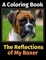 The Reflections of My Boxer