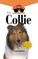 Collie