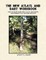 The New Atlatl And Dart Workbook