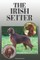 The Irish Setter