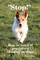 Stop! How to control predatory chasing in dogs