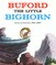 Buford the Little Bighorn